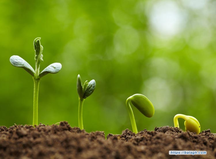 مراتب الصبر